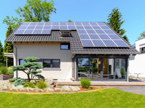 Projekt Layout 02 – Kurz